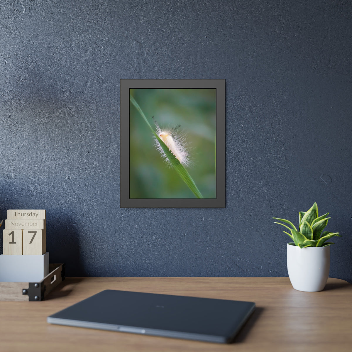Fuzzy Feets Caterpillar Framed Print | Nature Photography