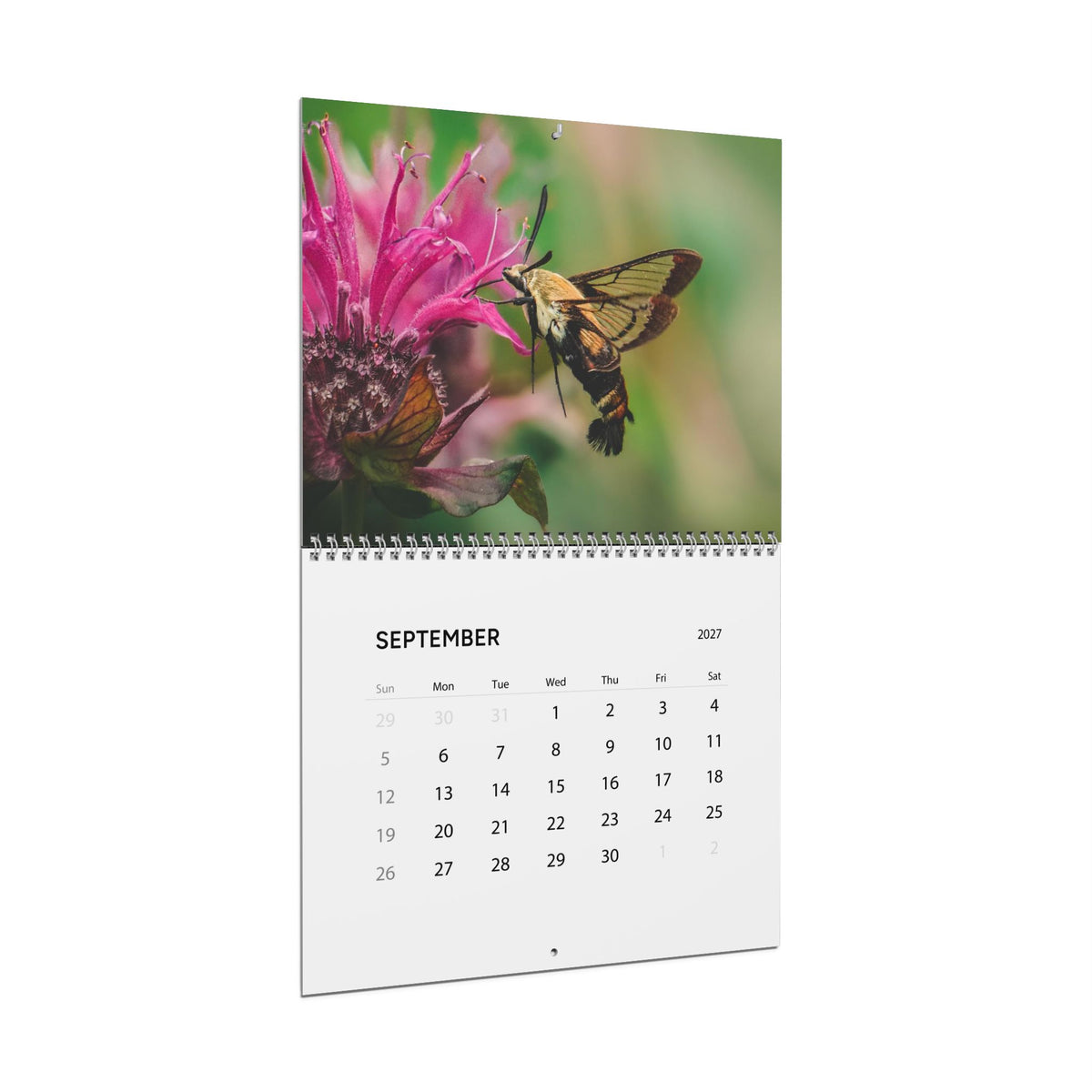 Angled view of the Critters of Whimsy 2027 wall calendar, open to September with a hummingbird moth on a pink flower