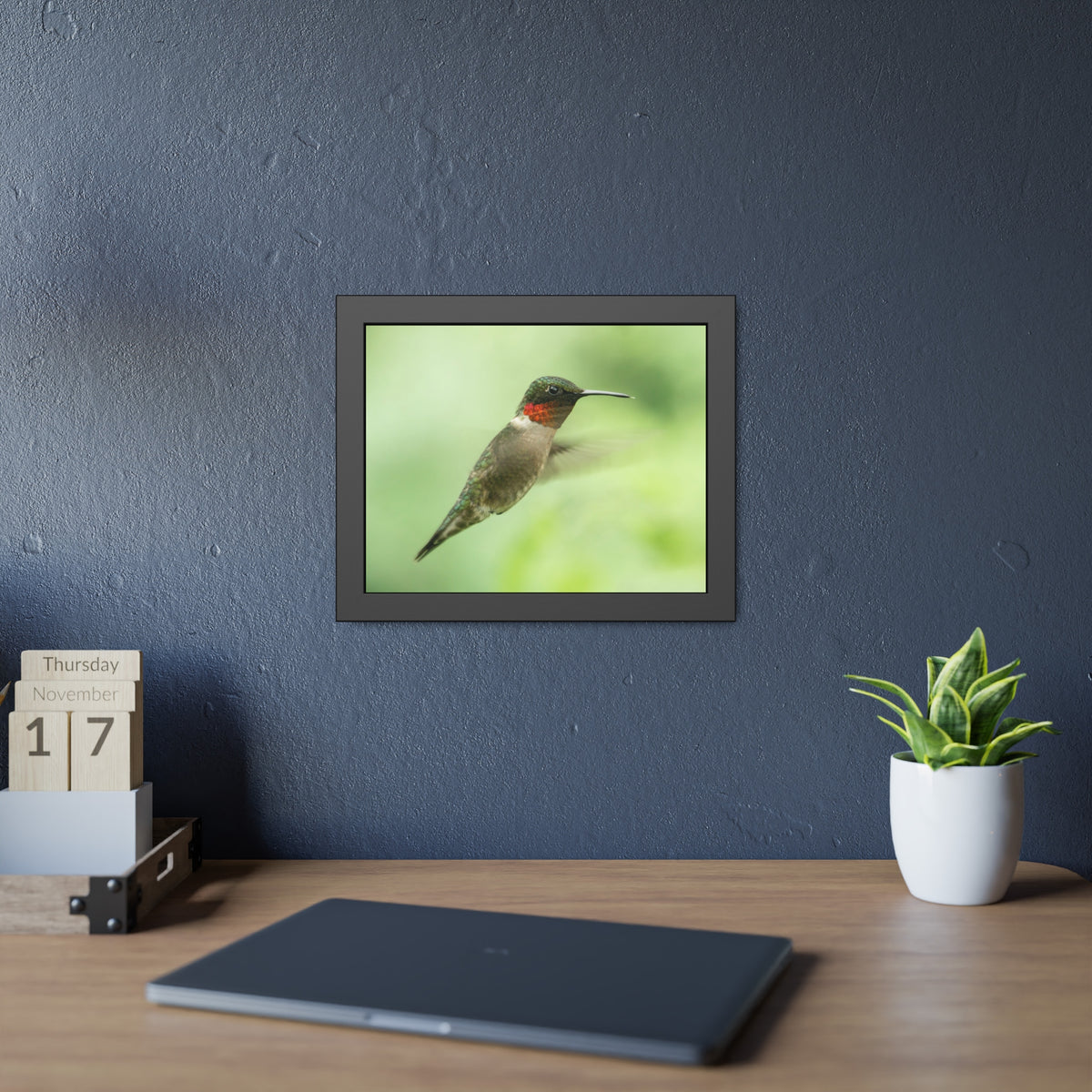 Hummingbird In-Flight Framed Print | Nature Photography