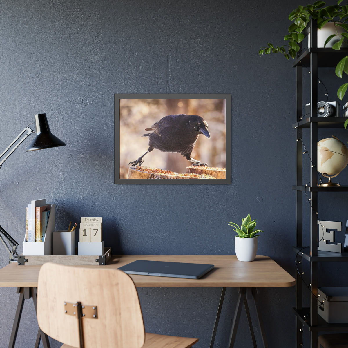 Crow Doing The Splits Framed Print | Nature Photography