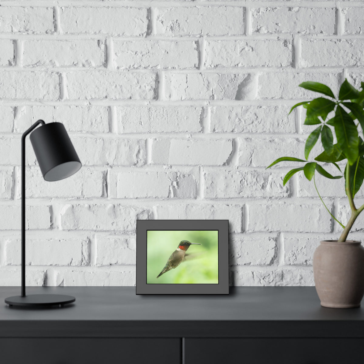 Hummingbird In-Flight Framed Print | Nature Photography
