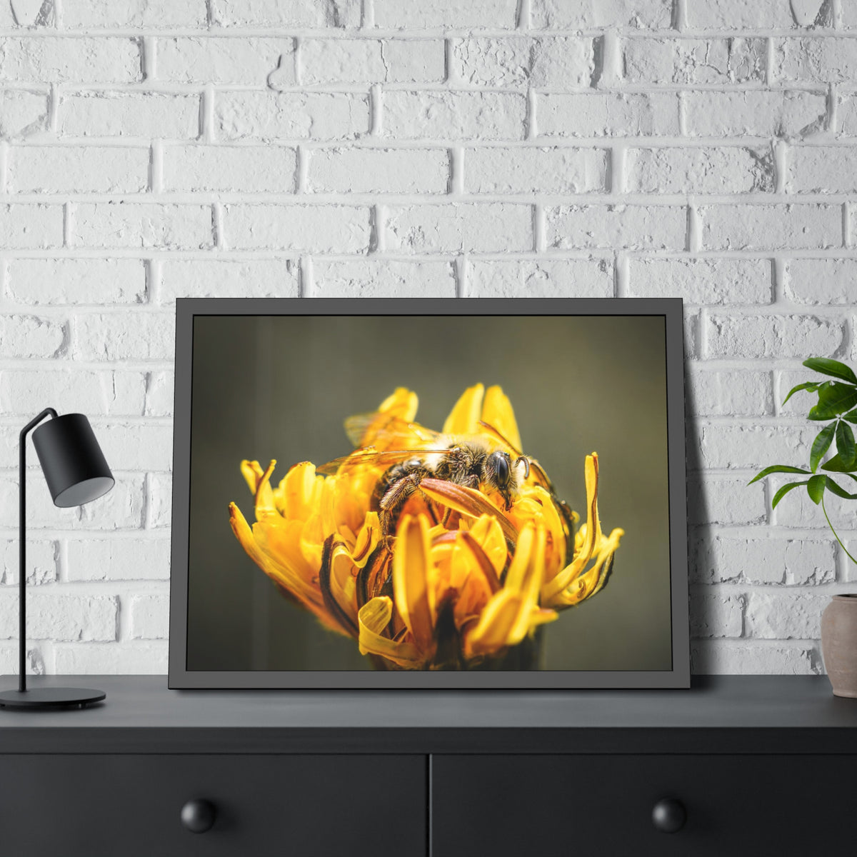 Macro Bee Pollinating Dandelion Framed Print | Nature Photography