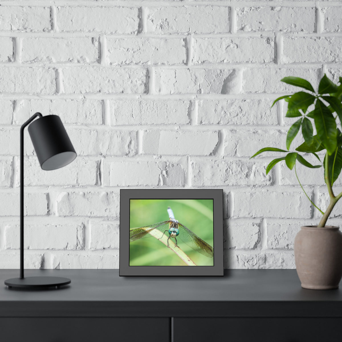 Macro Dragonfly Eyes Framed Print | Nature Photography