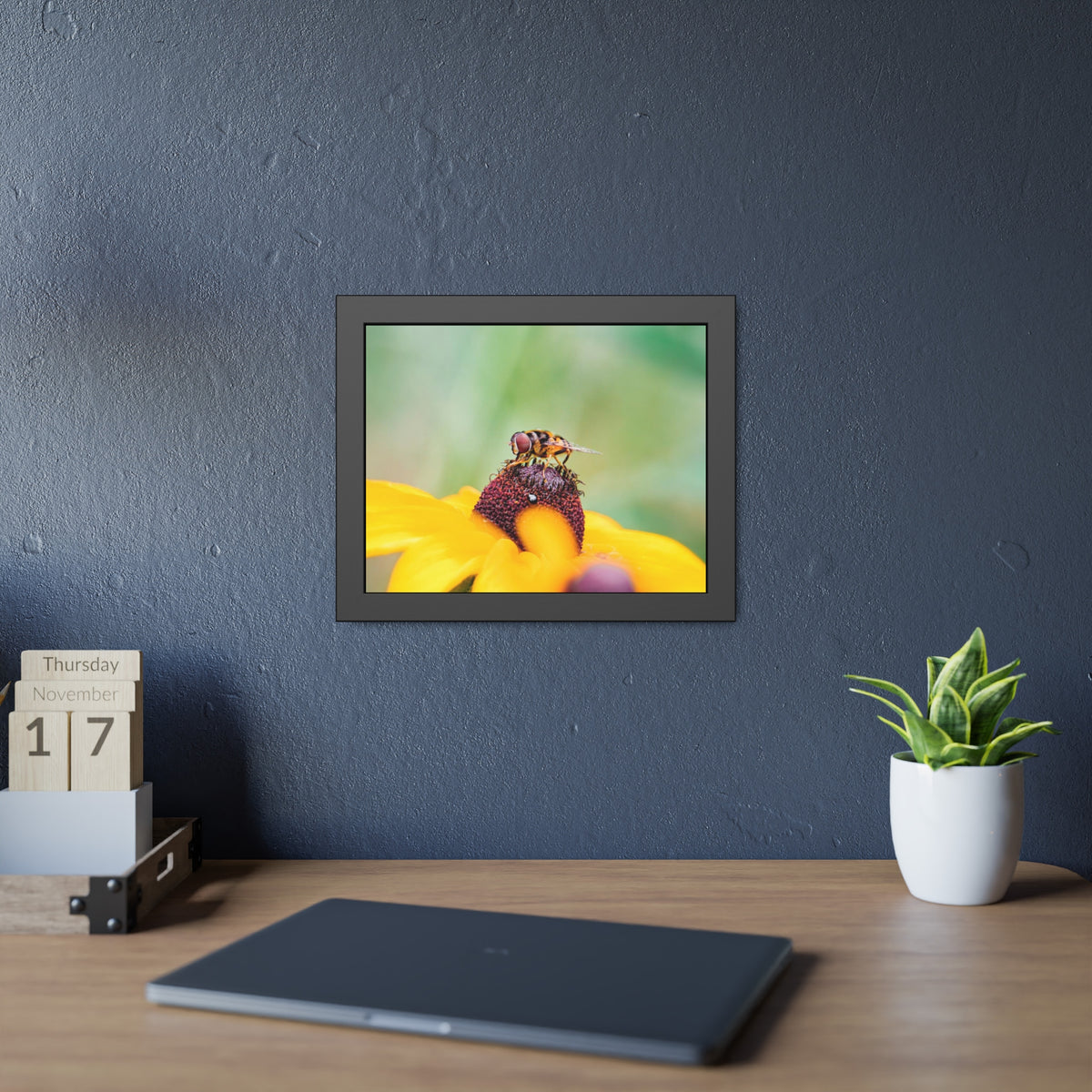 Flower Fly on Black-Eyed Susan Framed Print | Nature Photography