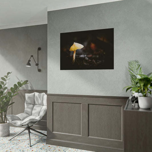 Mystical Magical Mushroomland Fine Art Print