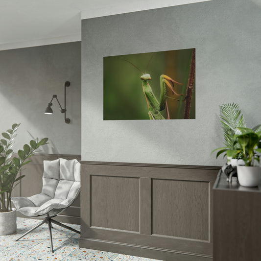Majestic Mantis Fine Art Print
