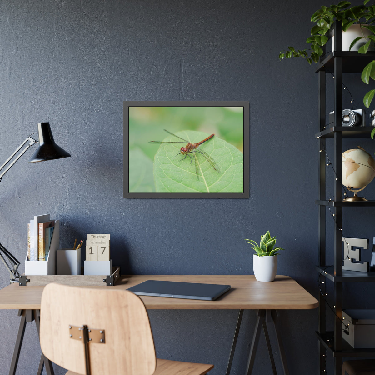 Dragonfly Poses on Leaf Framed Print | Nature Photography