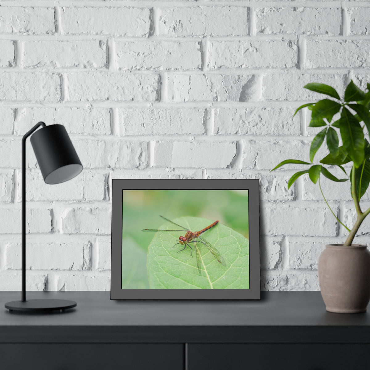 Dragonfly Poses on Leaf Framed Print | Nature Photography