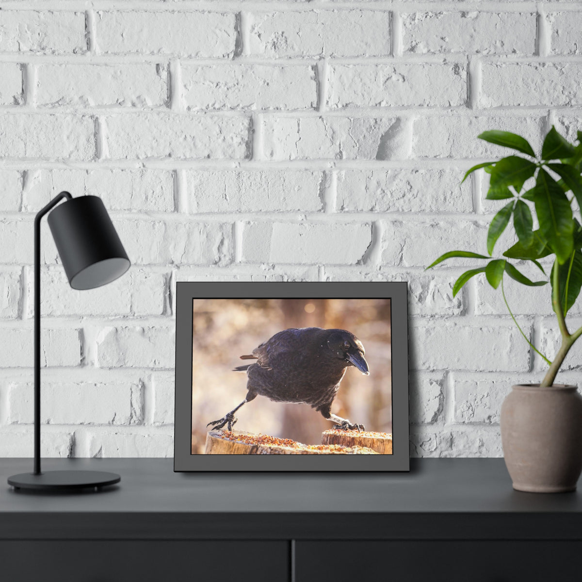 Crow Doing The Splits Framed Print | Nature Photography