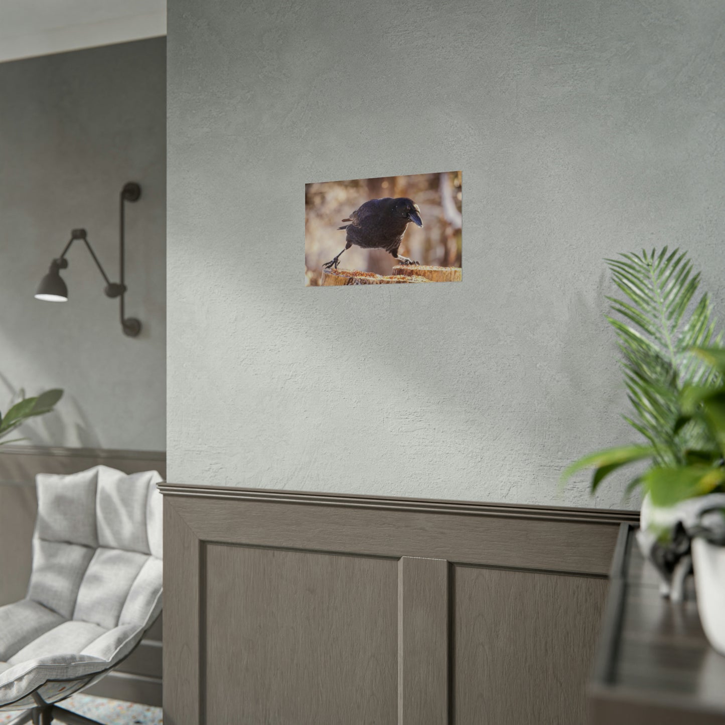 Crow Doing The Splits Fine Art Print