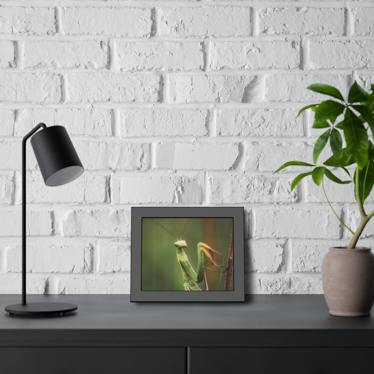 Majestic Mantis Framed Print | Nature Photography