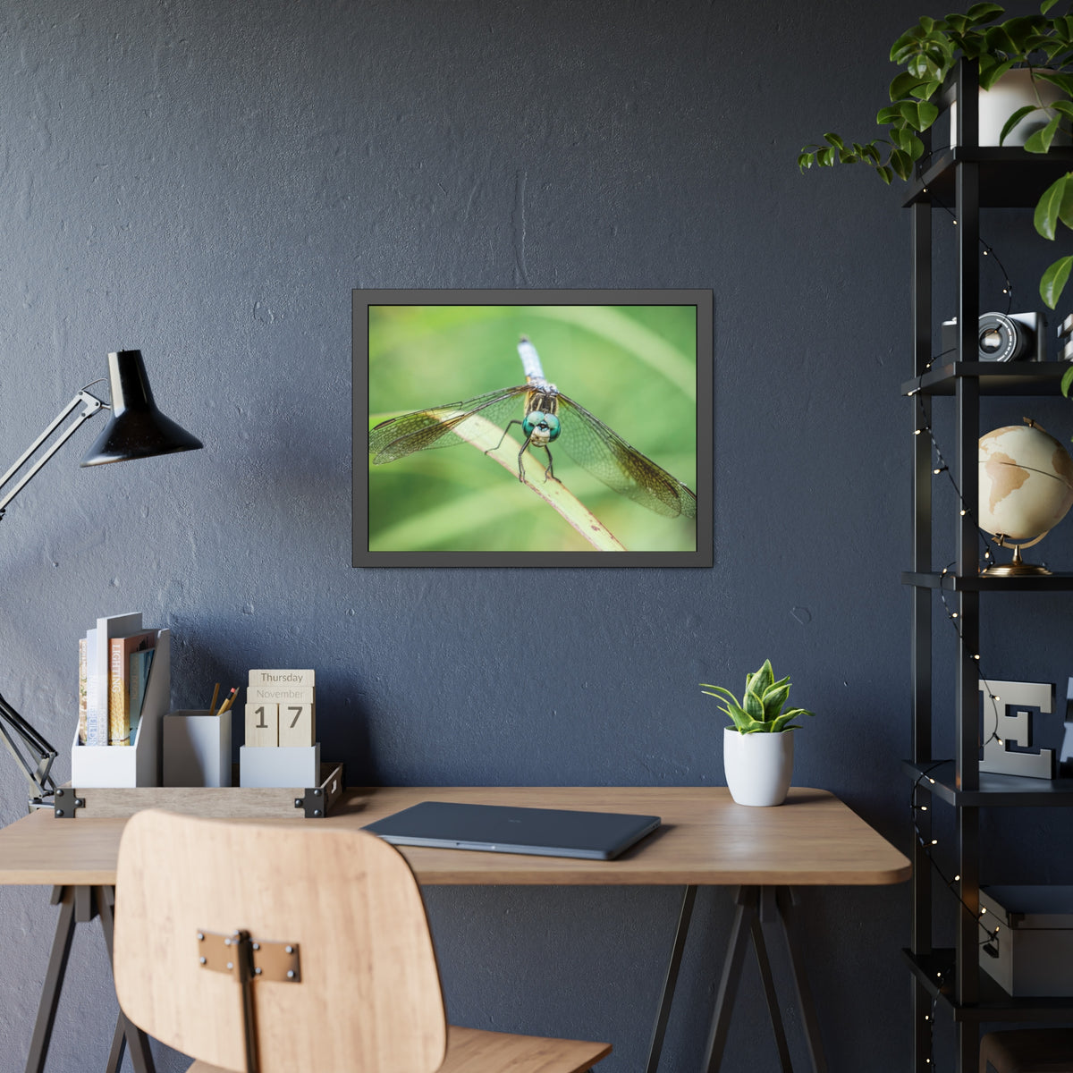 Macro Dragonfly Eyes Framed Print | Nature Photography