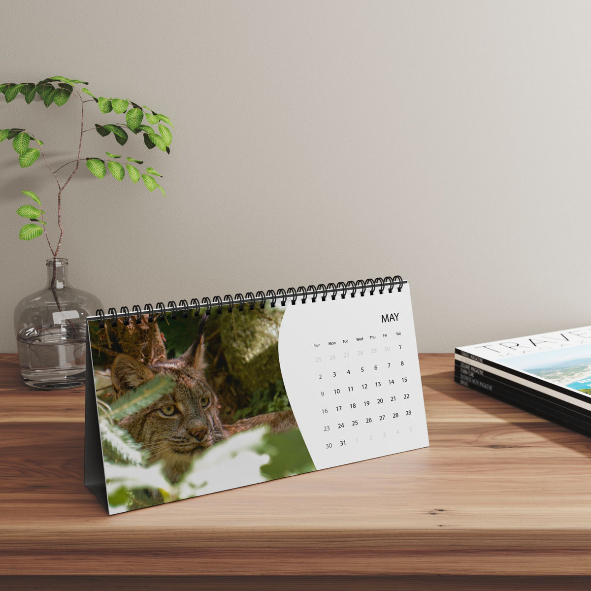 Critters of Whimsy 2027 desk calendar on a wooden table, open to May with a Canadian Lynx photograph by Christine Grindle