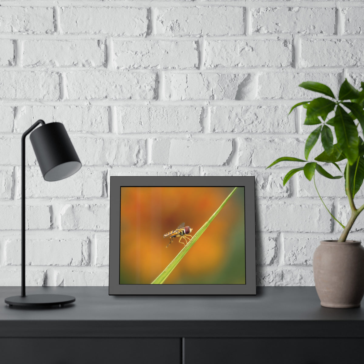 Flower Fly Super Macro Framed Print | Nature Photography