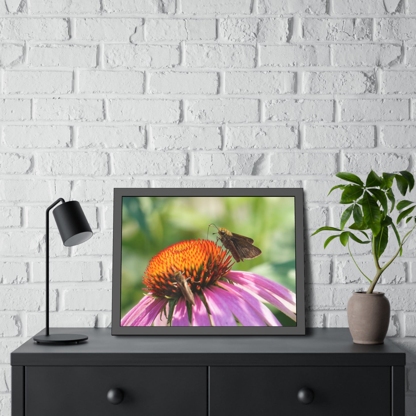 Little Glassywing Butterfly Framed Print | Nature Photography