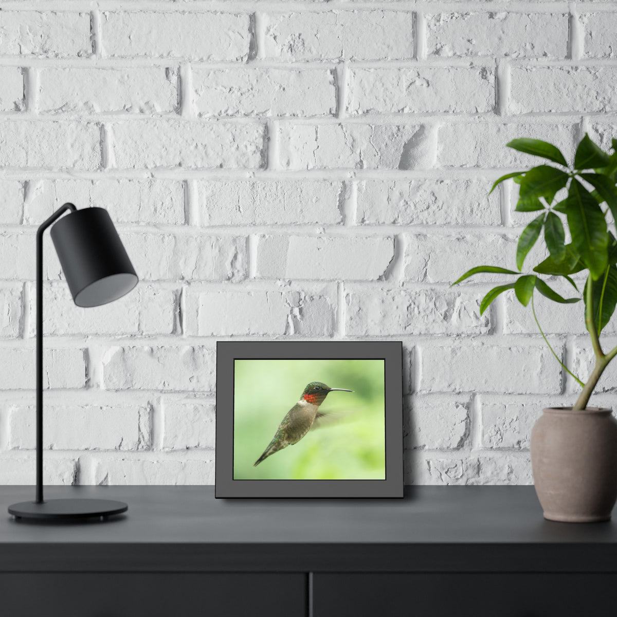 Hummingbird In-Flight Framed Print | Nature Photography