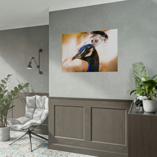 Peculiar Peacock Fine Art Print