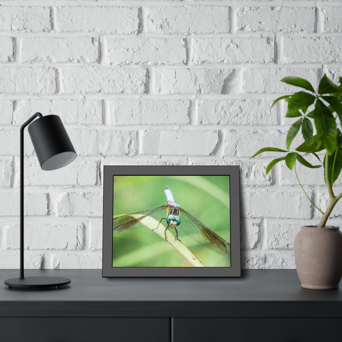 Macro Dragonfly Eyes Framed Print | Nature Photography