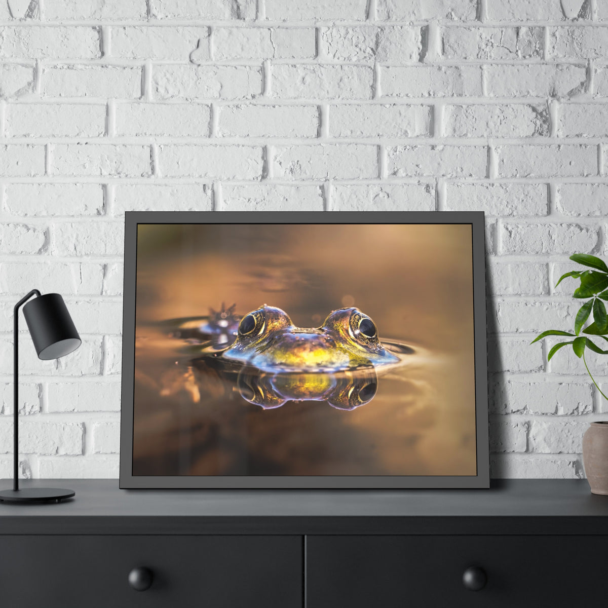 Duality of Frog Framed Print | Nature Photography
