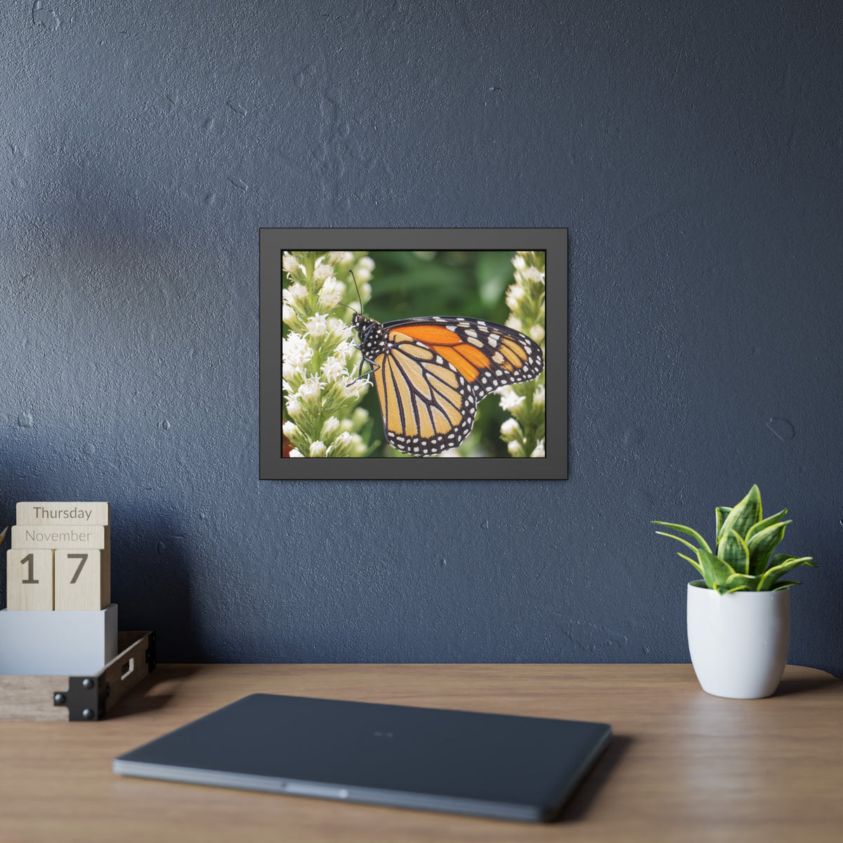 Monarch Butterfly in Garden Framed Print | Nature Photography