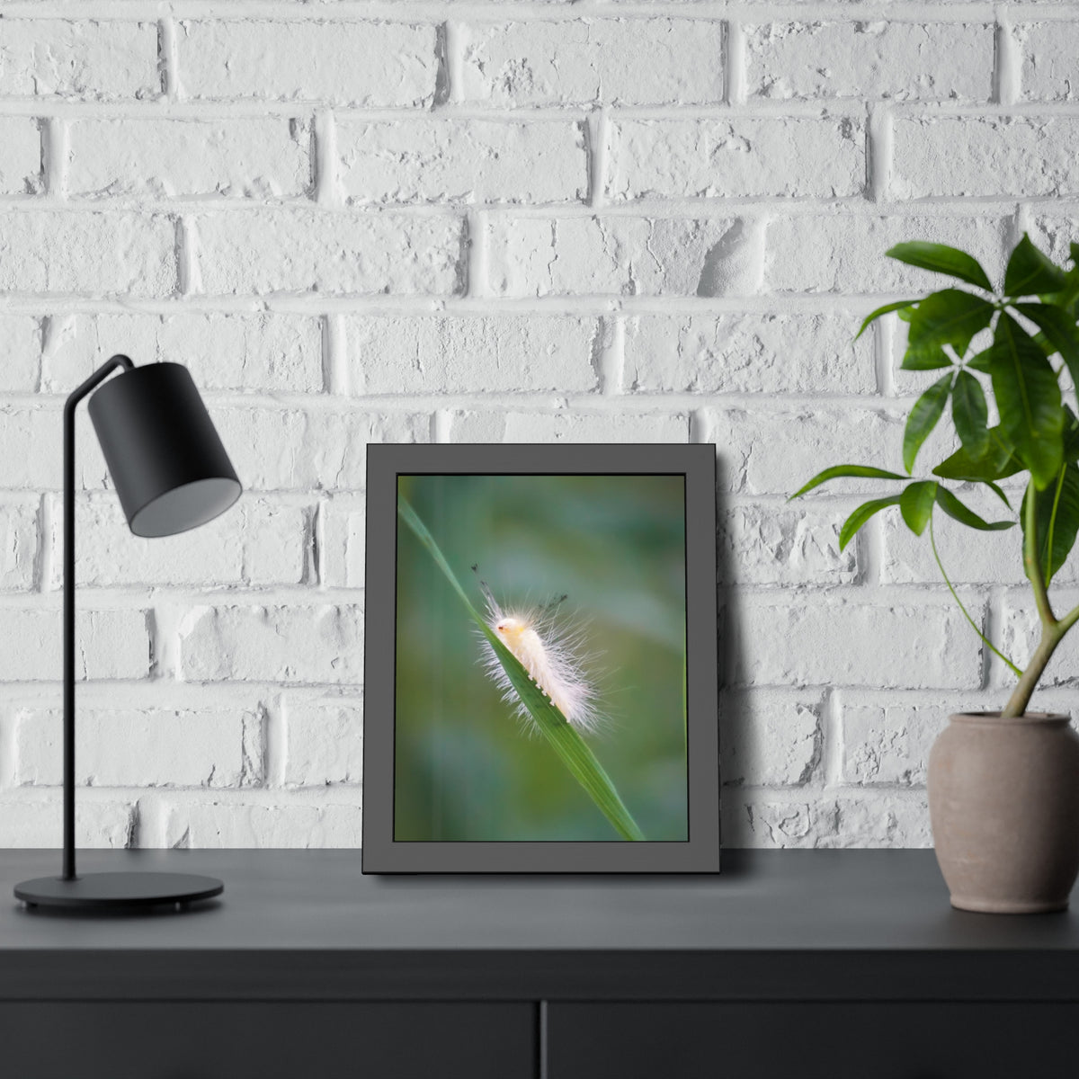 Fuzzy Feets Caterpillar Framed Print | Nature Photography