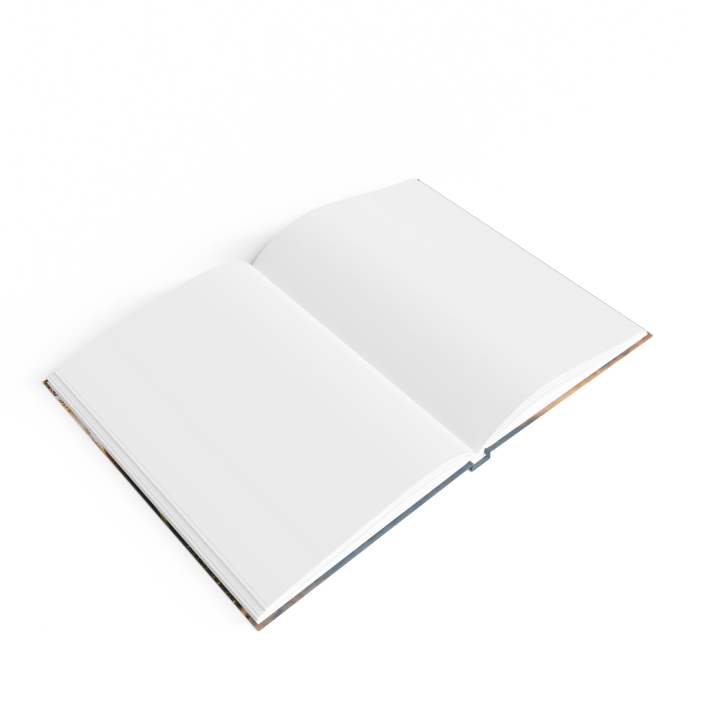 Einstein Imagination Quote Hardcover Blank Journal