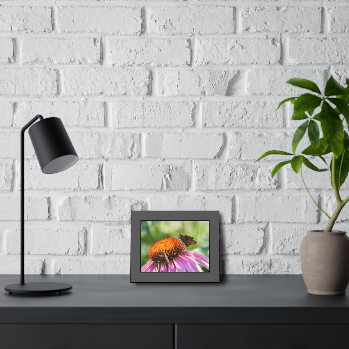 Little Glassywing Butterfly Framed Print | Nature Photography