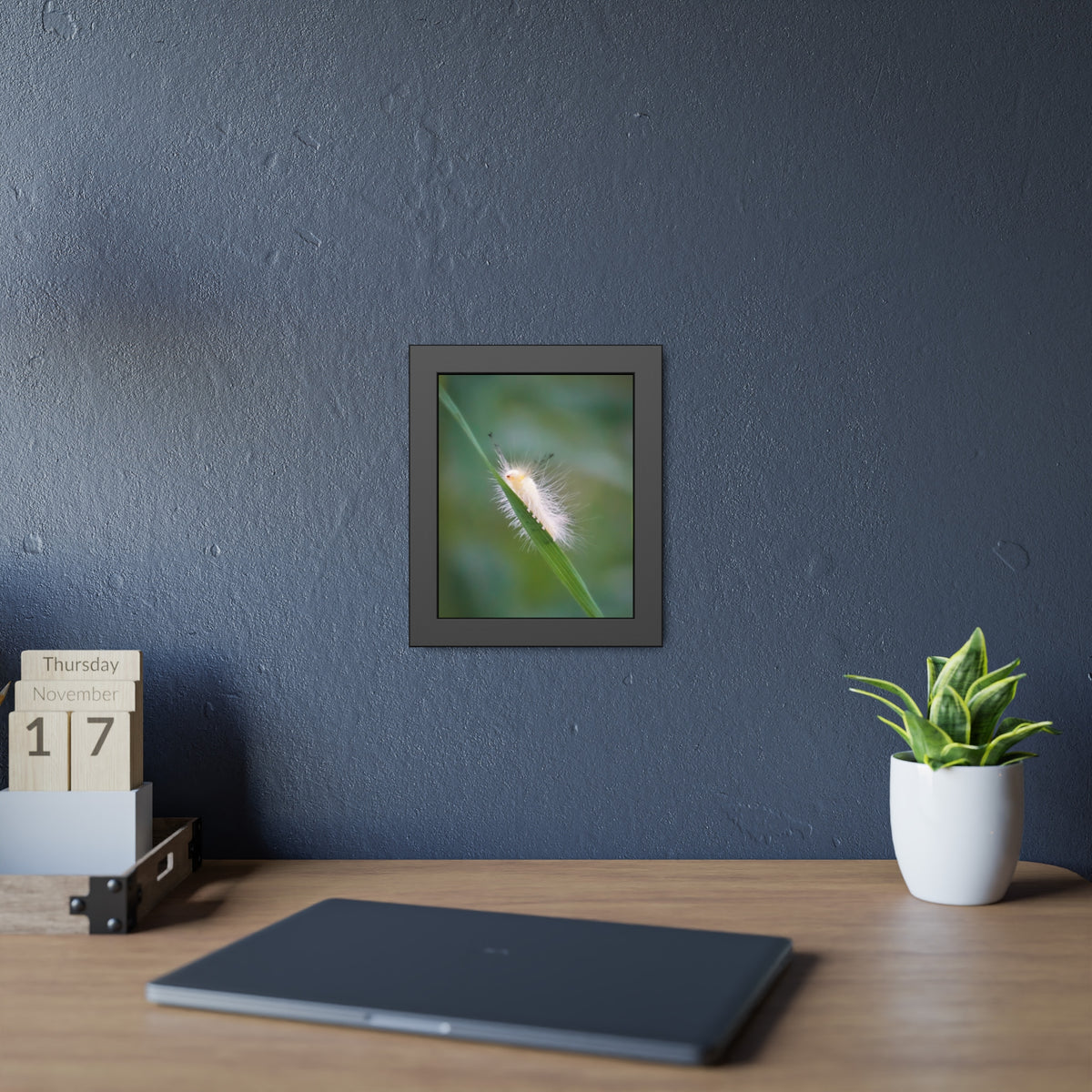 Fuzzy Feets Caterpillar Framed Print | Nature Photography