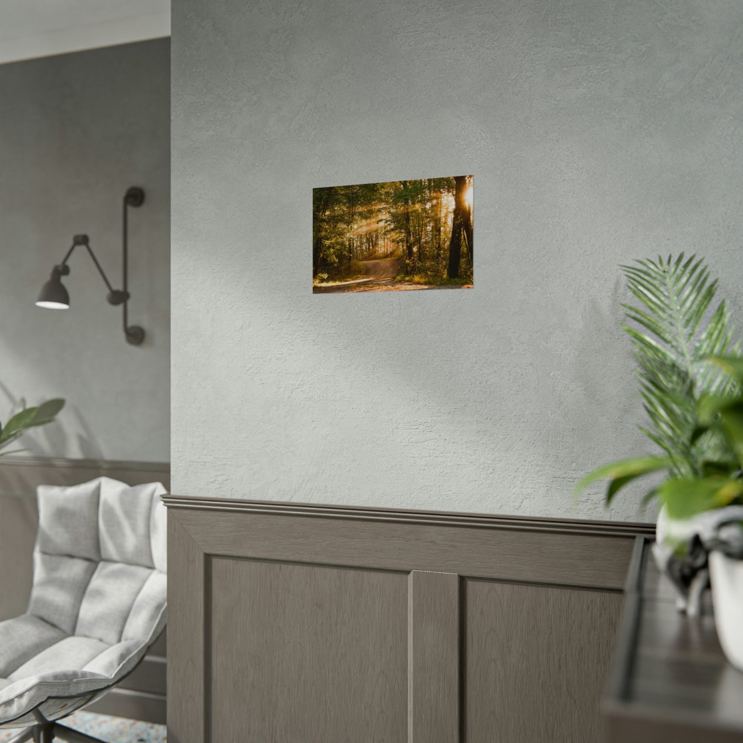 Sunbeams Streaming Onto Forest Path Fine Art Print