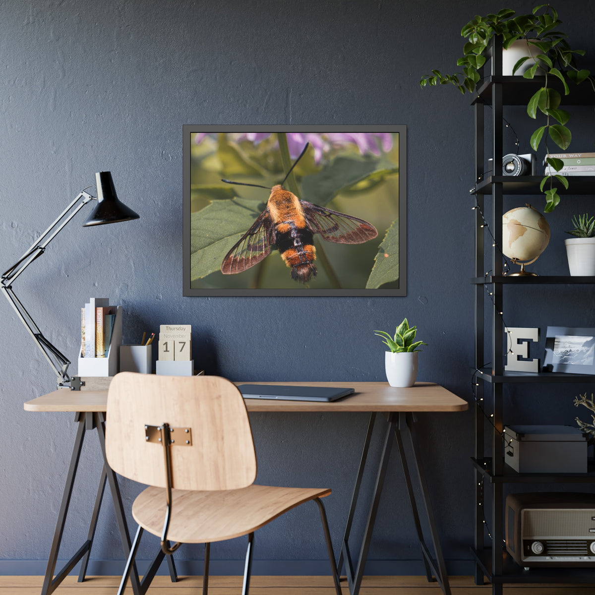 Sleeping Hummingbird Moth Framed Print | Nature Photography