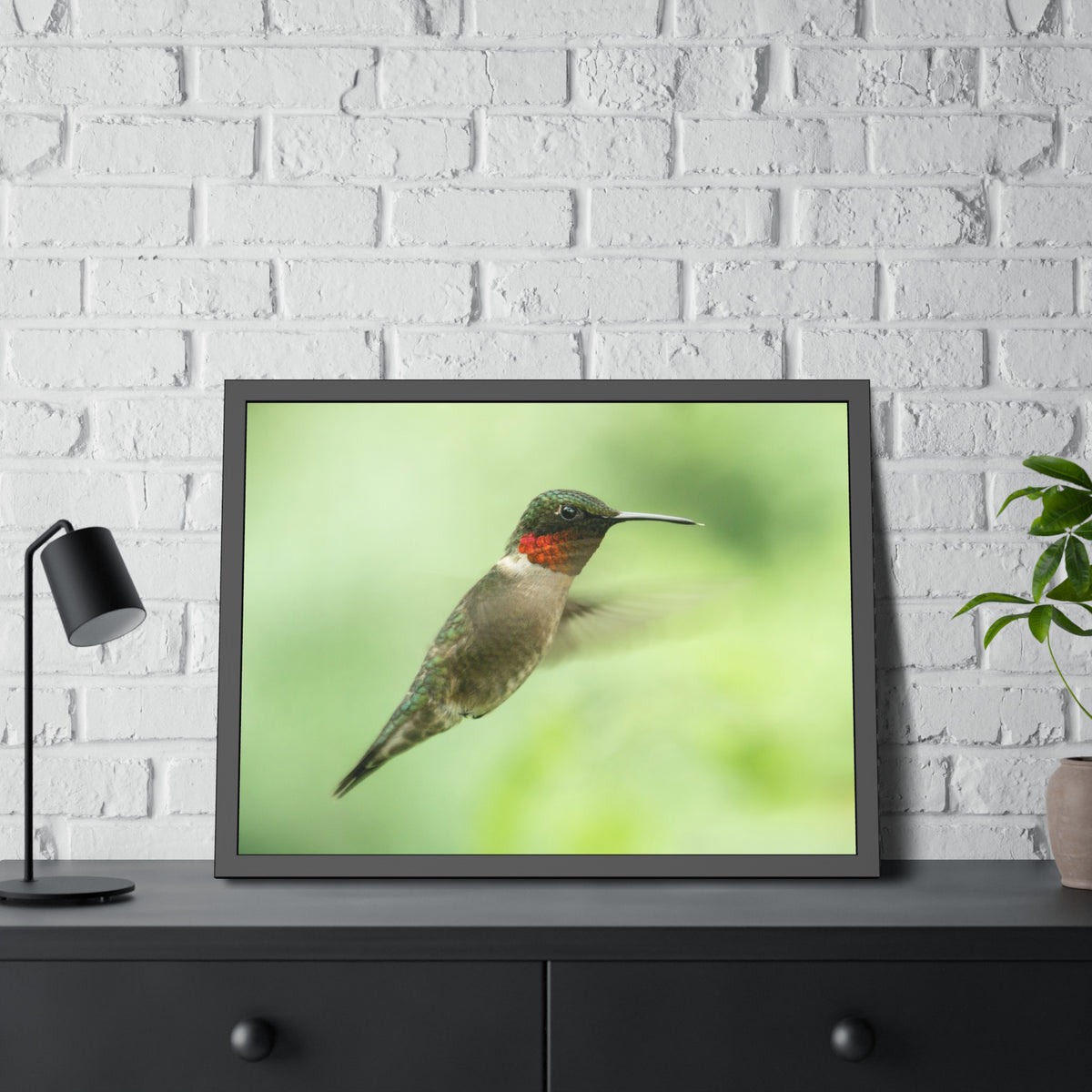 Hummingbird In-Flight Framed Print | Nature Photography