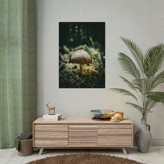 Mossy Mushroom House Fine Art Print