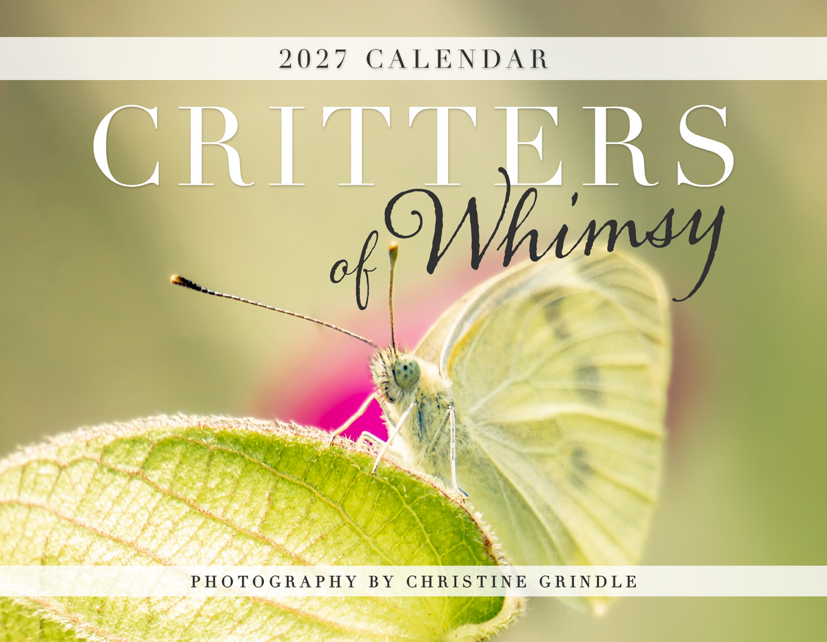 Critters of Whimsy 2027 wall calendar cover featuring a butterfly on a green leaf, photographed by Christine Grindle