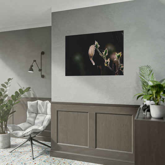 Macro Spring Flower Silhouette Fine Art Print