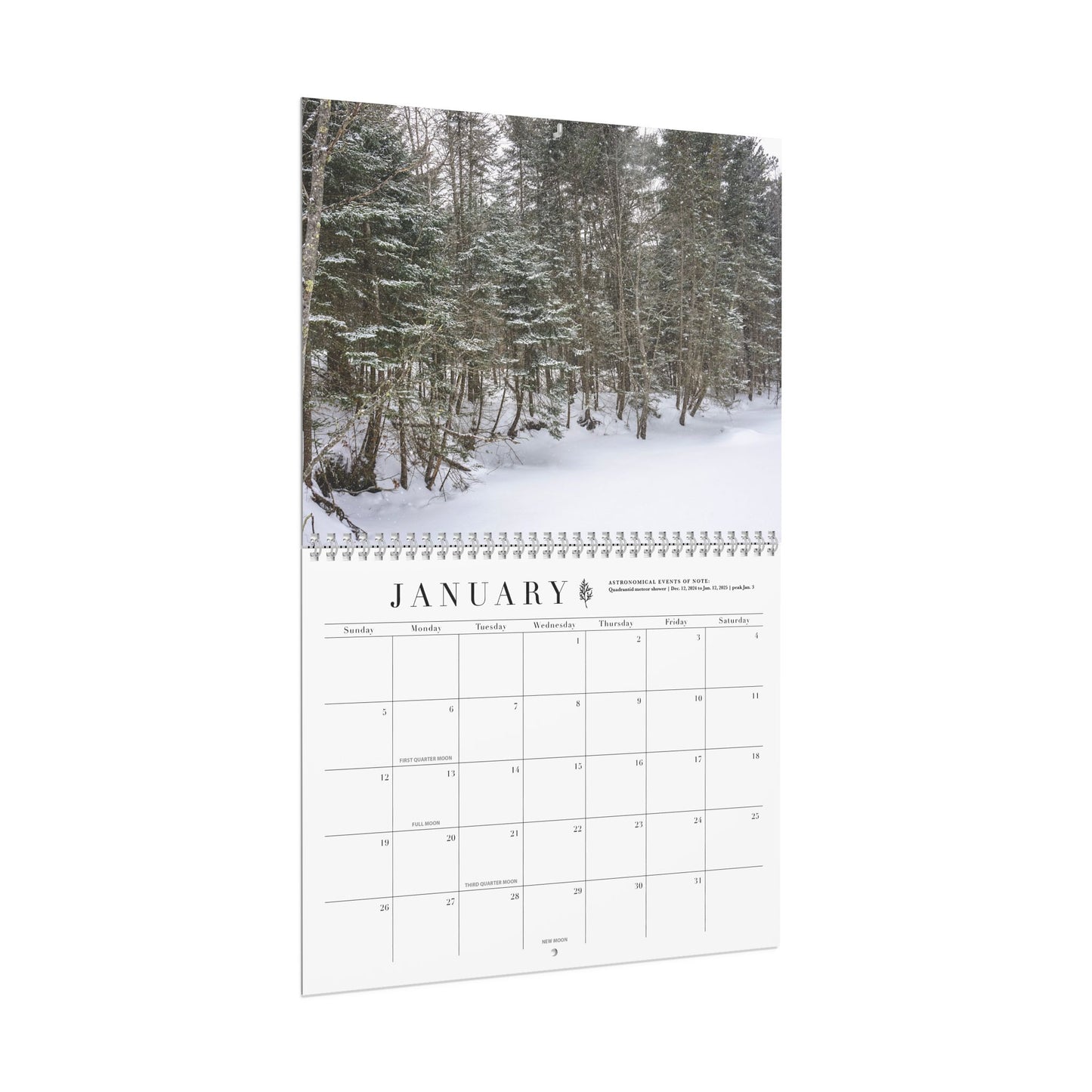 2025 Whimsy of Maine Celestial Wall Calendar