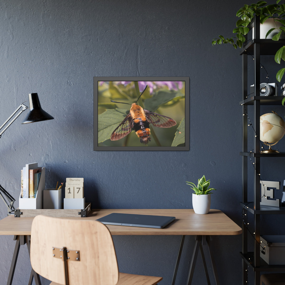 Sleeping Hummingbird Moth Framed Print | Nature Photography