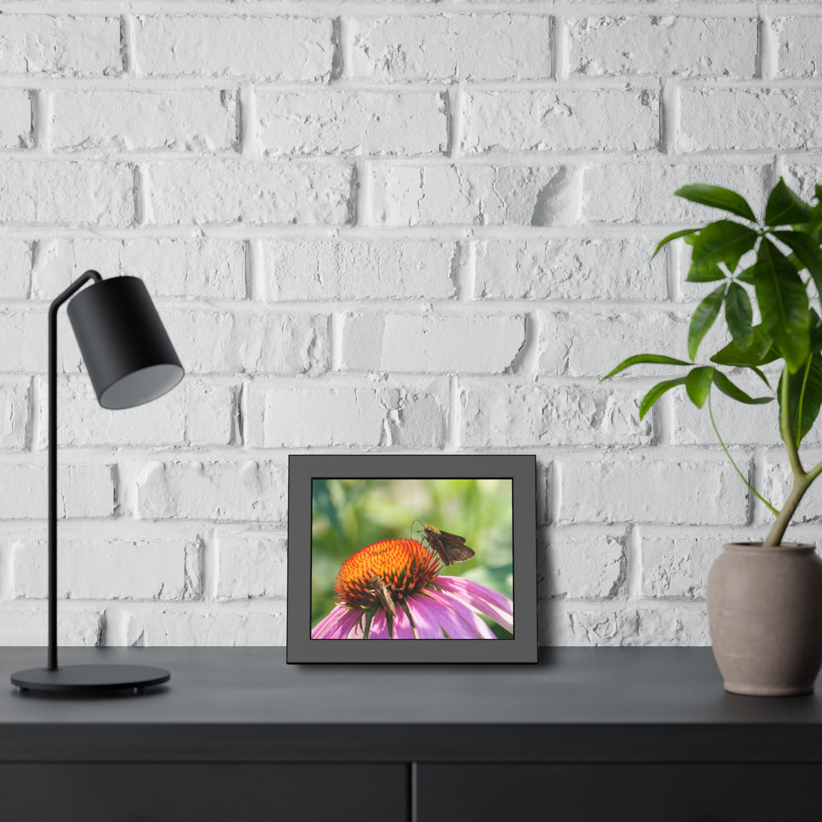 Little Glassywing Butterfly Framed Print | Nature Photography
