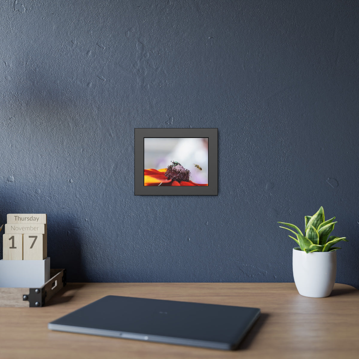 Japanese Beetle and Honey Bee Framed Print | Nature Photography