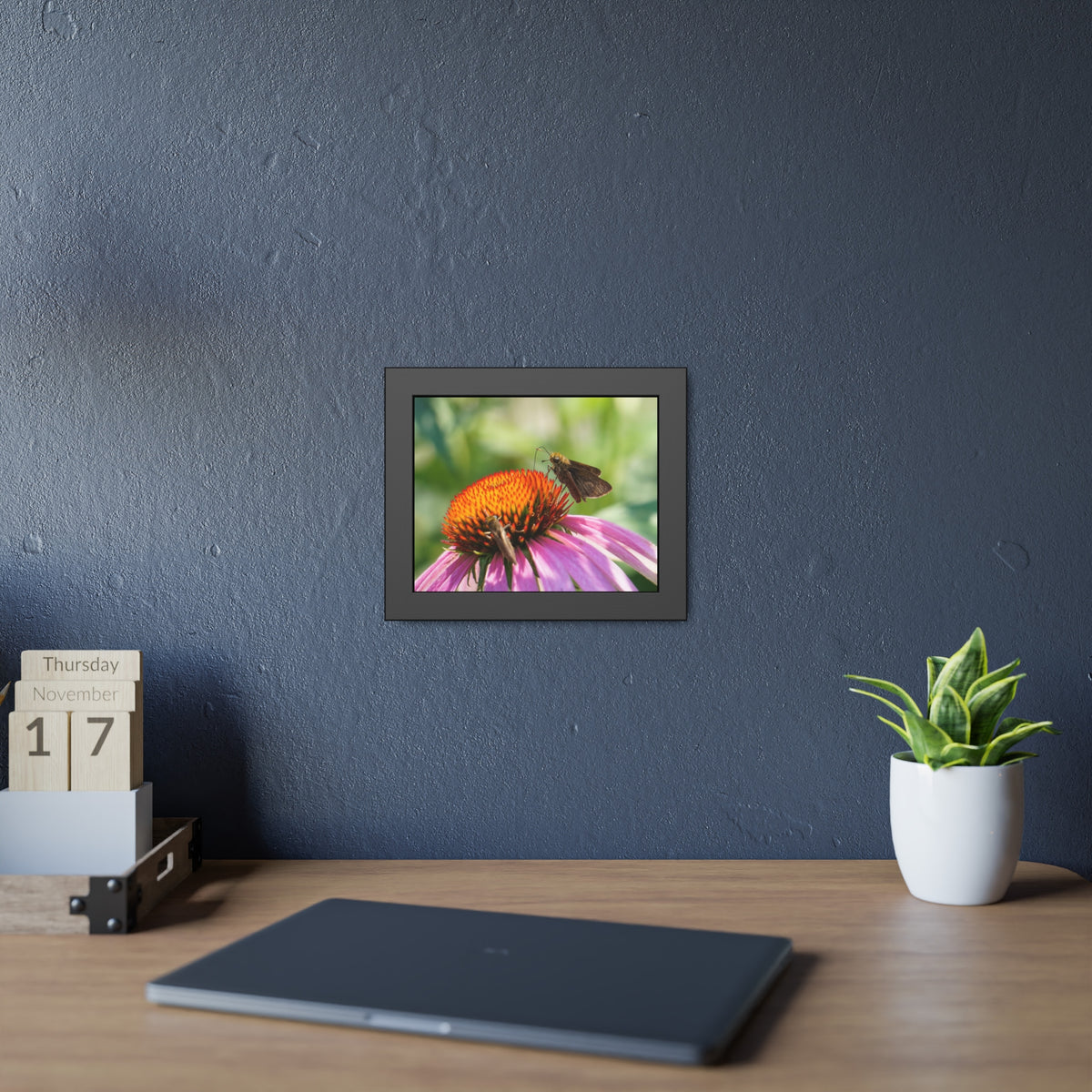 Little Glassywing Butterfly Framed Print | Nature Photography