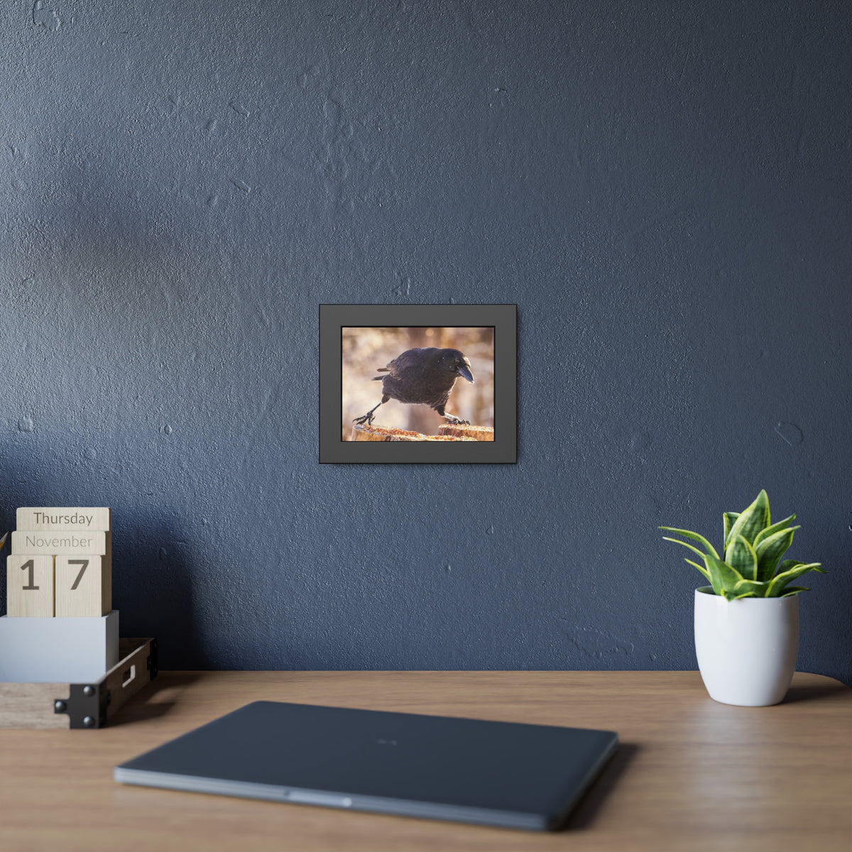 Crow Doing The Splits Framed Print | Nature Photography