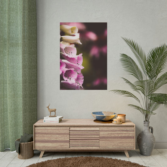 Foxglove Flowers Fine Art Print