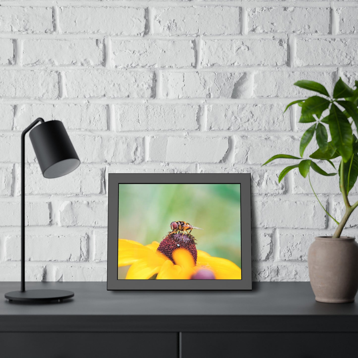 Flower Fly on Black-Eyed Susan Framed Print | Nature Photography