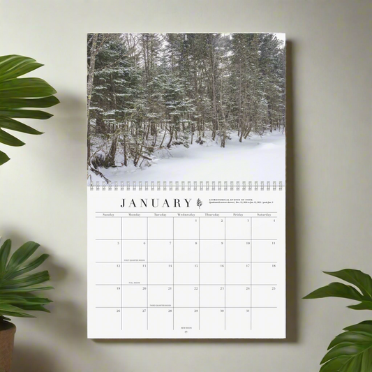 2025 Whimsy of Maine Celestial Wall Calendar