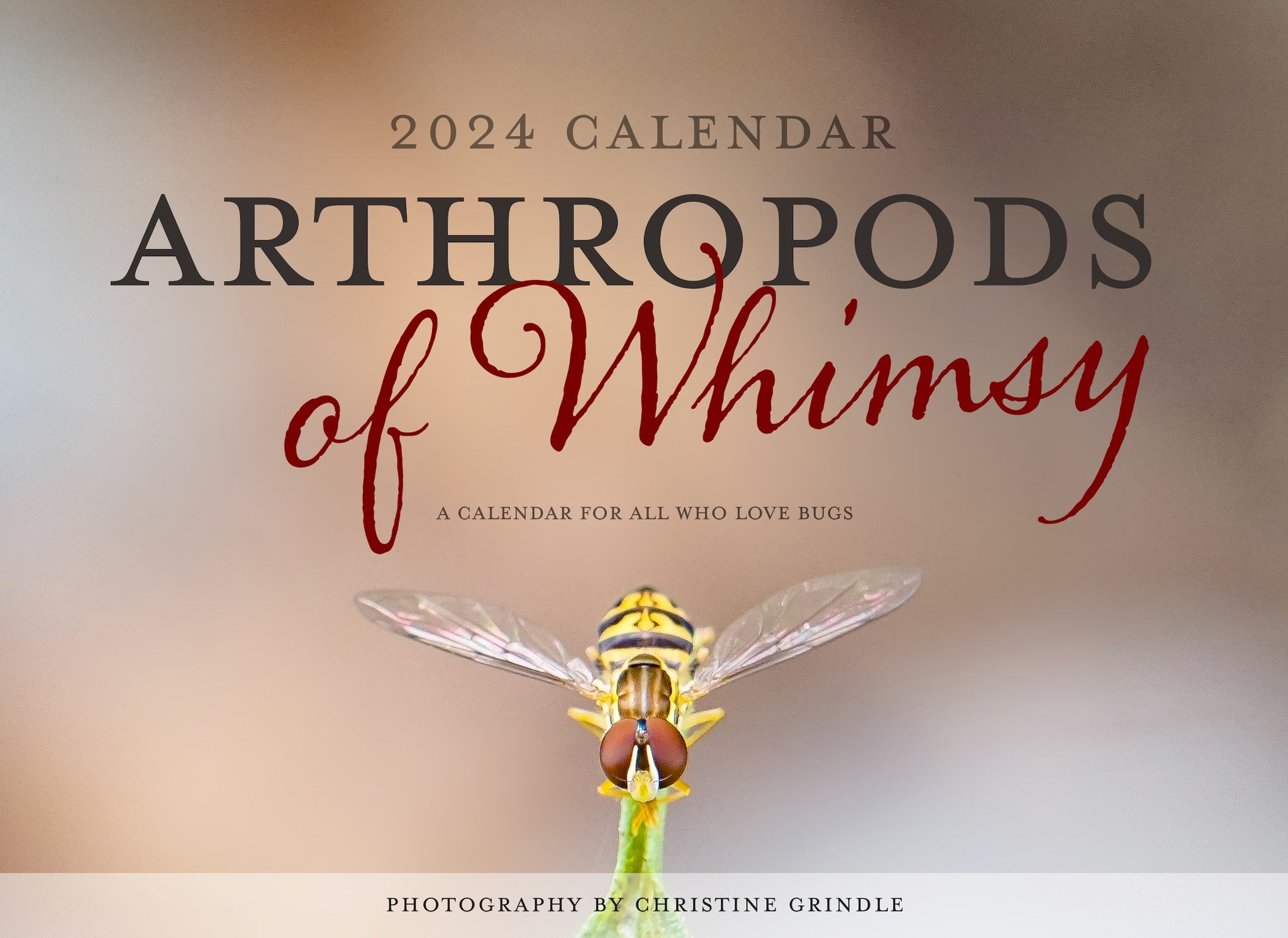 2024 Arthropods of Whimsy Wall Calendar Terra Conserva