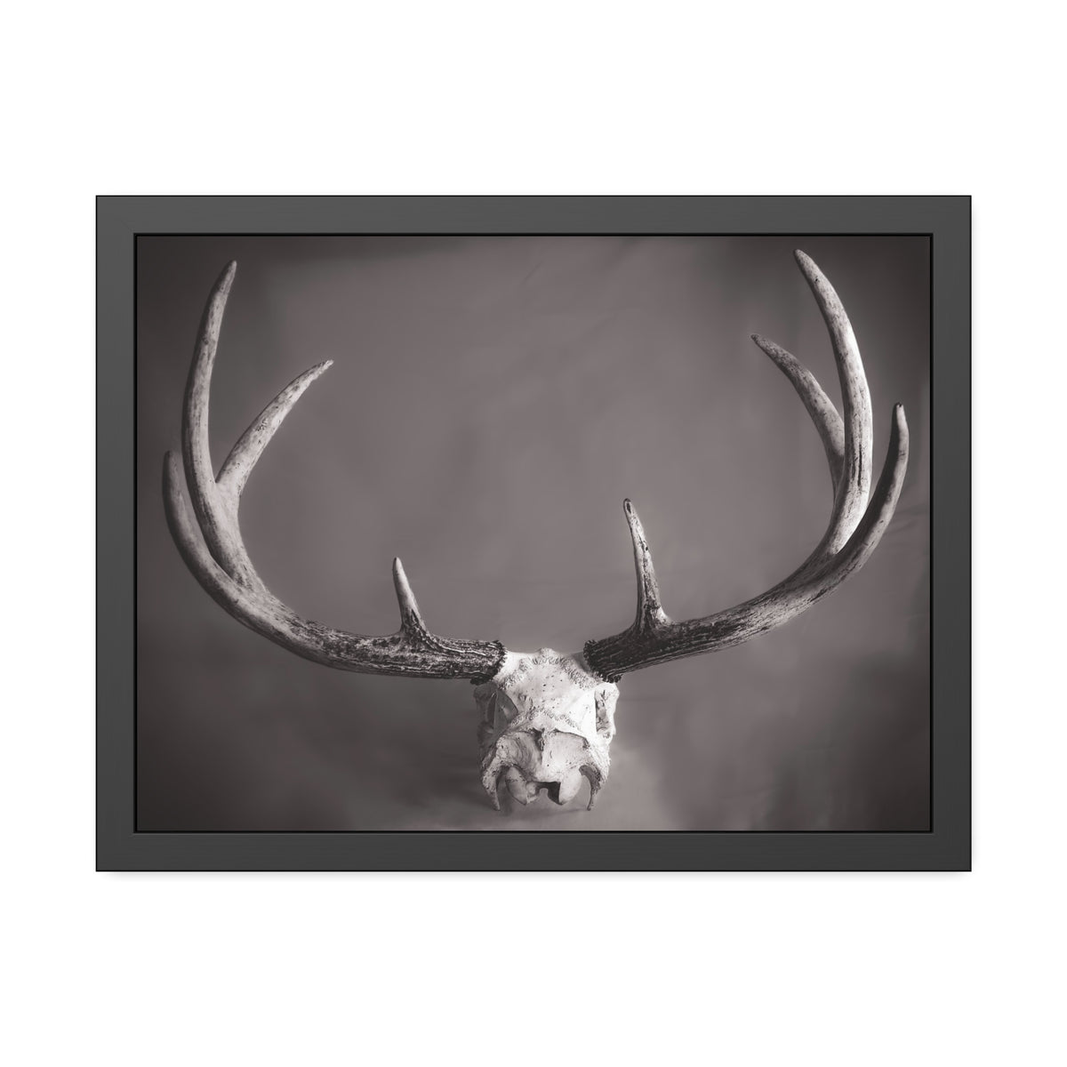 Ghosts of Deers Past Framed Print | Nature Photography