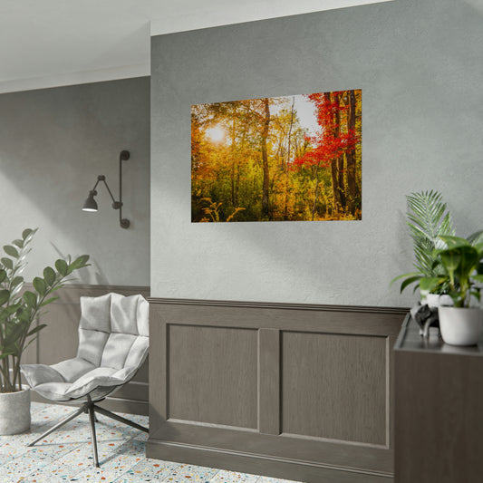 Happy Autumn Sun Fine Art Print