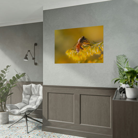 Golden Honey Bee Fine Art Print