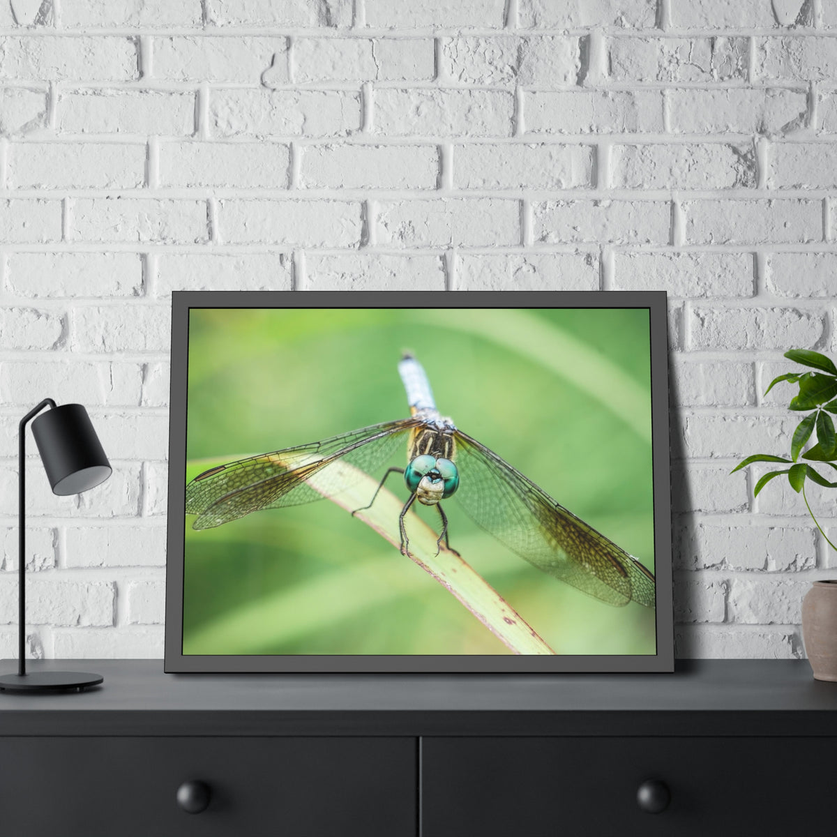 Macro Dragonfly Eyes Framed Print | Nature Photography