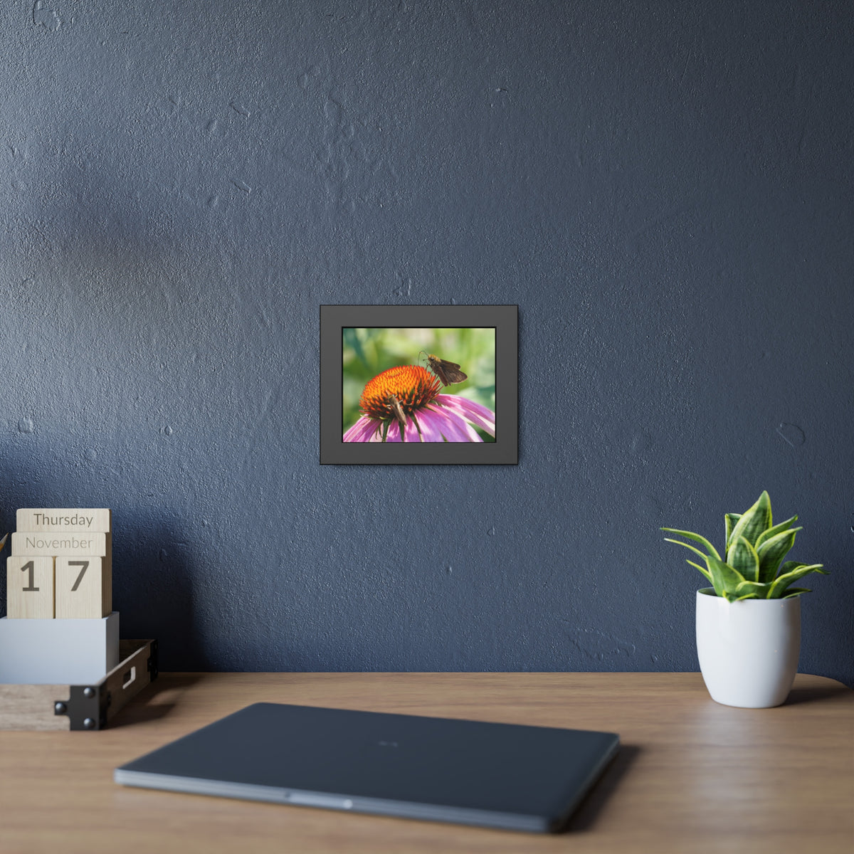 Little Glassywing Butterfly Framed Print | Nature Photography