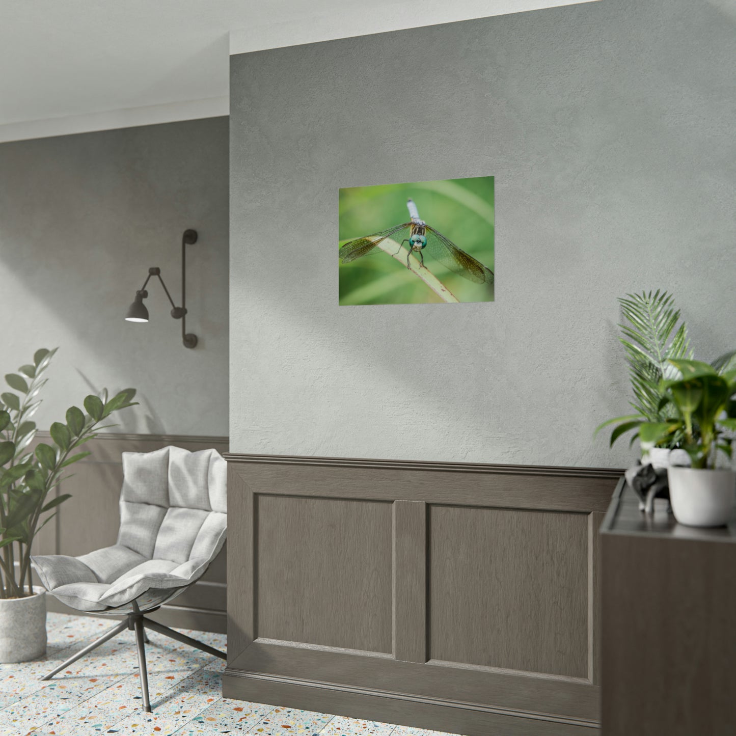 Macro Dragonfly Eyes Fine Art Print